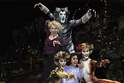 Cats kommen ins Deutsche Theater (Foto: Deutsches Theater)